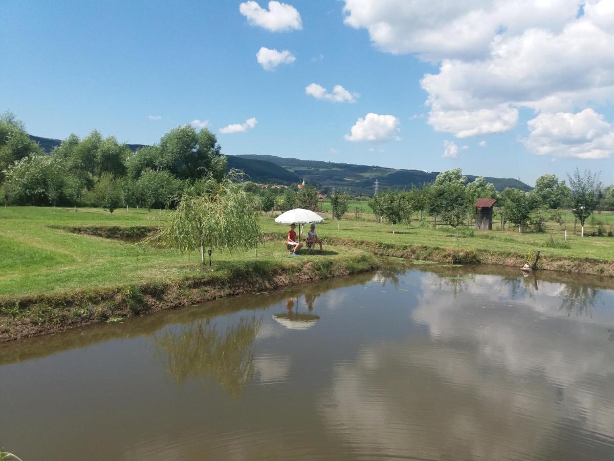 Kacso Apartma Ocna de Sus Екстериор снимка